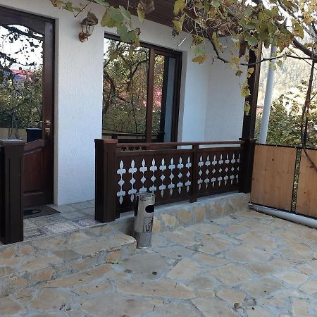 Apartment Borjomi, Erekle Street, 21A Dış mekan fotoğraf