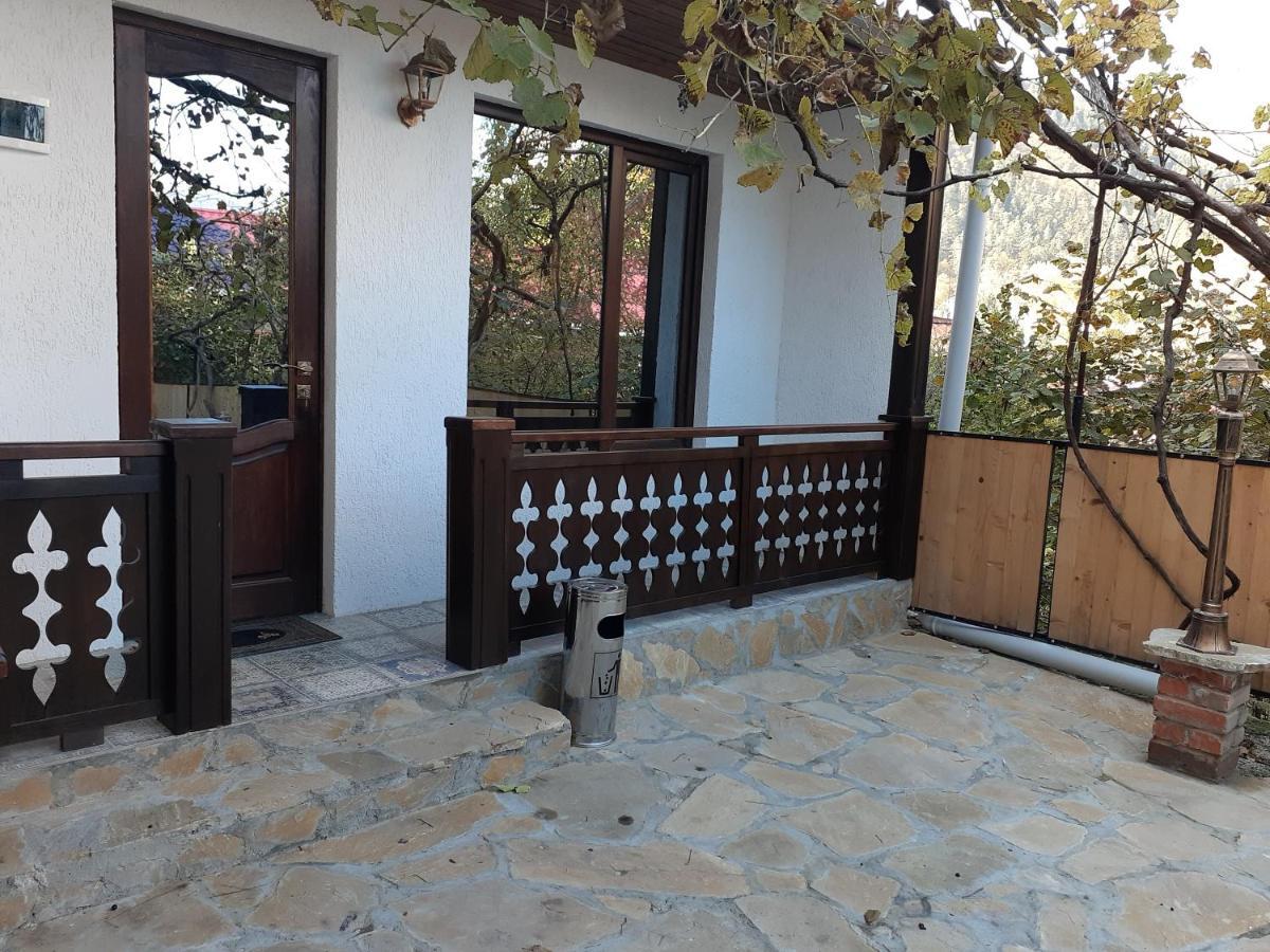 Apartment Borjomi, Erekle Street, 21A Dış mekan fotoğraf
